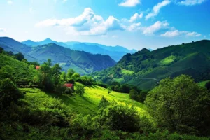 Madurai Rameshwaram Kodaikanal Tour Package